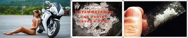 шишки Белая Холуница
