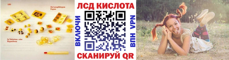 где можно купить наркотик  Порхов  Лсд 25 экстази ecstasy 