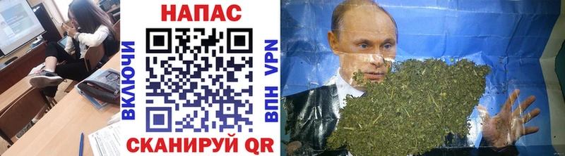 Бошки марихуана Bruce Banner  Порхов 